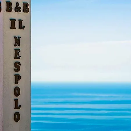 Il Nespolo 4*